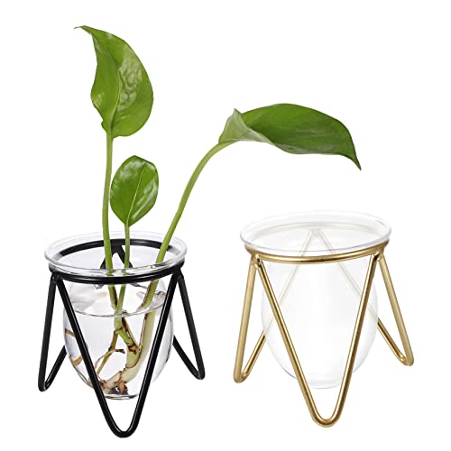 YARNOW 2stücke Klare Glas Pflanzgefäße Geometrische Hydrokultur Pflanzvase Mit Metallständer Für Wohnzimmer Transparente Glas Pflanzvase Zum Pflanzen Ohne Erde Für Blumen Und von YARNOW