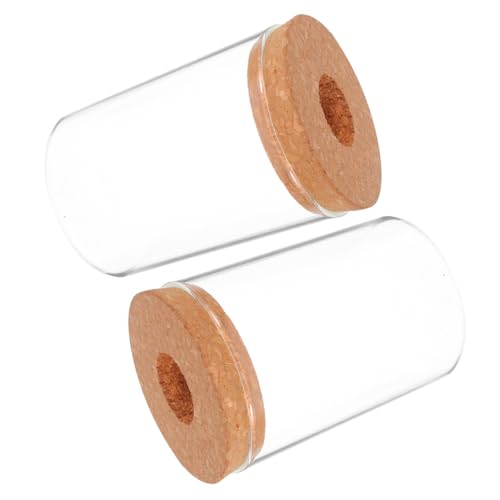 YARNOW 2pcs Glasanlage Terrarium Sukkulente Luft Pflanzer Moos Mikrolandschaftsvase Für Home Office Tabletop Dekoration Container Indoor Transparent 450 Ml von YARNOW