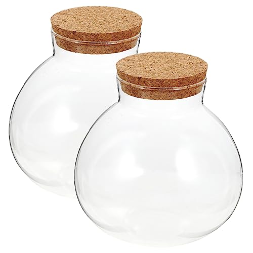 YARNOW 2st Eco-Flasche Luftpflanzen-Terrarium-kit Anzuchtgläser Einzigartig Flasche Mit Mikrolandschaft Seifenblasenschale Luftdichte Dose Einmachgläser Mini Terrarienflasche Düse Glas YARNOW 2st Eco-Flasche Luftpflanzen-Terrarium-kit Anzuchtgläser Einzigartig Flasche Mit Mikrolandschaft Seifenblasenschale Luftdichte Dose Einmachgläser Mini Terrarienflasche Düse Glas von YARNOW