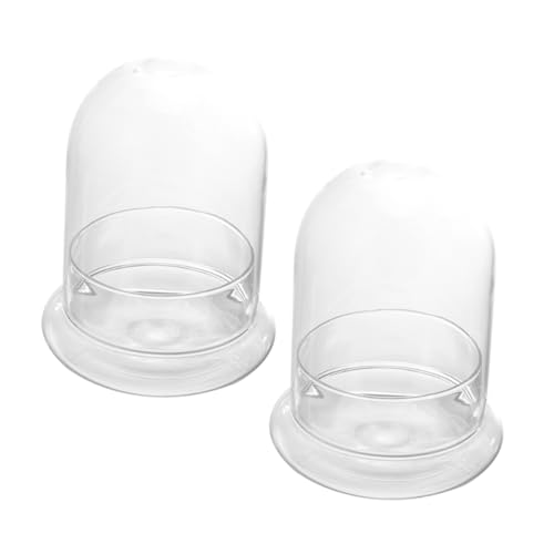 YARNOW Moos-Terrarium-Flasche Landschaftsflasche Glas-pflanzbehälter Für Home-Office- von YARNOW