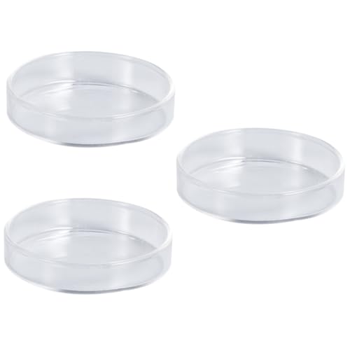 YARNOW 3 Stück Garnelen Futternapf Durchsichtig Aquarium Nahrungsmitteltablett Gecko Futternapf Süßwasser Tablett Futternapf Futterbehälter Halter Rund Durchsichtiges Tablett YARNOW 3 Stück Garnelen Futternapf Durchsichtig Aquarium Nahrungsmitteltablett Gecko Futternapf Süßwasser Tablett Futternapf Futterbehälter Halter Rund Durchsichtiges Tablett von YARNOW