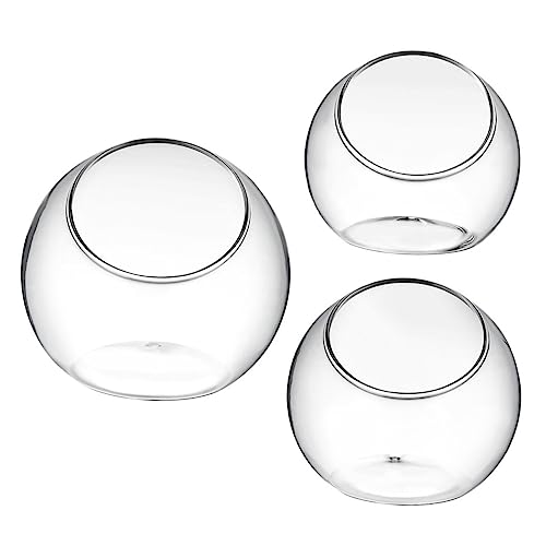 YARNOW 3st Leere Flasche Selber Machen Dekorative Landschaftsflasche Künstlich Fälschung Pflanzen Desktop-sukkulentenflasche Anzeige Rahmen Gestell Aquarium Gold Luft Transparent Glas YARNOW 3st Leere Flasche Selber Machen Dekorative Landschaftsflasche Künstlich Fälschung Pflanzen Desktop-sukkulentenflasche Anzeige Rahmen Gestell Aquarium Gold Luft Transparent Glas von YARNOW
