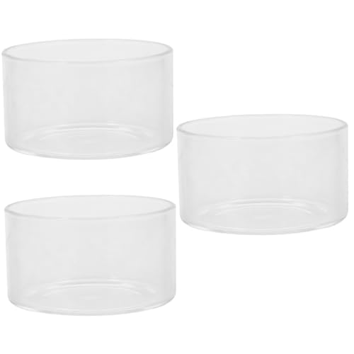 YARNOW 3st Mikrolandschaftspflanzen Luftpflanzen Terrarium Saftiger Luftpflanzer Mikro-landschaftsflasche Terrarienschale Hydroponisches Terrarium Landschaft Flasche Pflanzenhalter Glas von YARNOW