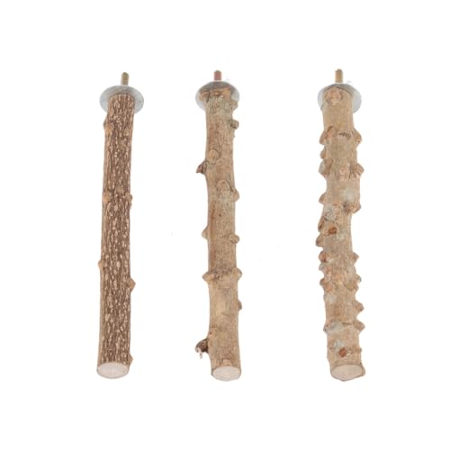 YARNOW 3pcs Papagei Protokolle Barsch Steht Für Papageien Vögel Zu Befestigen Spielen Rest Spielzeug Für Vögel YARNOW 3pcs Papagei Protokolle Barsch Steht Für Papageien Vögel Zu Befestigen Spielen Rest Spielzeug Für Vögel von YARNOW