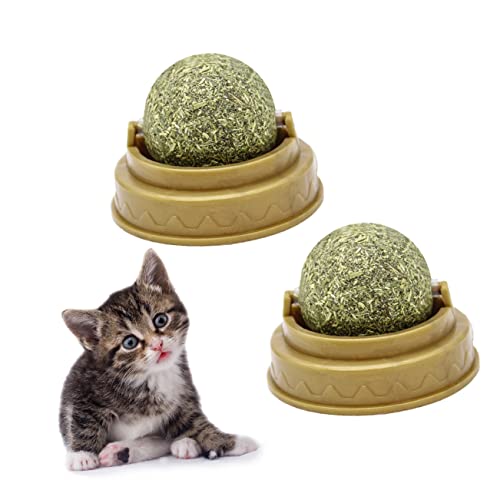 YARNOW 4 Stück Katzenminze Rotierender Lick Ball für Katzen Zahnreinigung und Verdauungsförderung Befestigung an Wänden für Kleine Katzen Grün mit Natürlichem Minzgeschmack von YARNOW