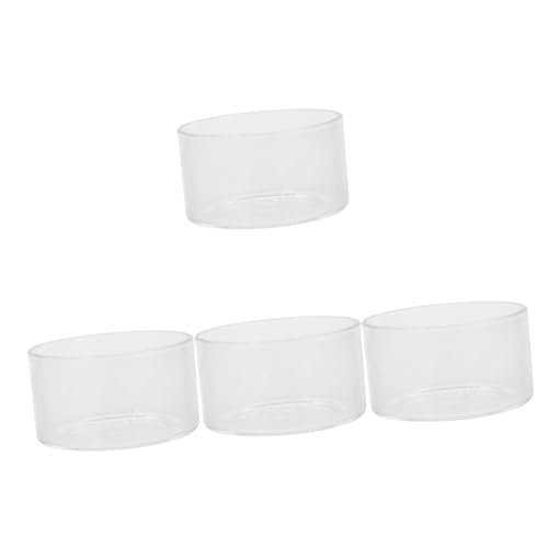 YARNOW 4 Stück Mikrolandschaftspflanzen Flasche saftiger Luftpflanzer Fischglasvase Luftpflanzen Terrarium glasbehälter zimmerpflanzen Vasen Pflanzenterrarium Glastöpfe für Pflanzen YARNOW 4 Stück Mikrolandschaftspflanzen Flasche saftiger Luftpflanzer Fischglasvase Luftpflanzen Terrarium glasbehälter zimmerpflanzen Vasen Pflanzenterrarium Glastöpfe für Pflanzen von YARNOW
