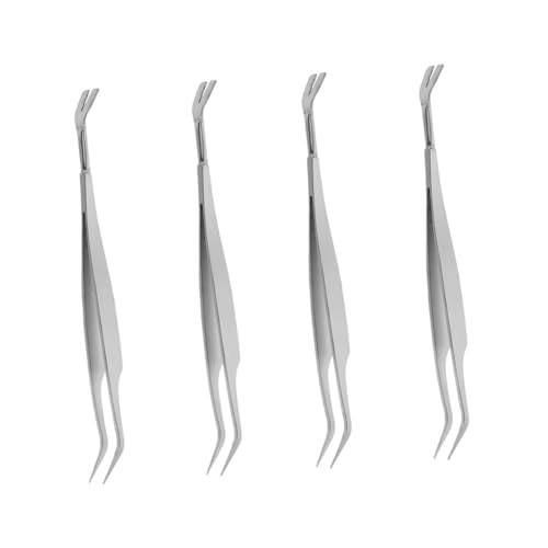 YARNOW 4 Stück Pinzette pet Grooming Tool Haustierpflege Werkzeug Flohentferner für Haustiere Haustierkamm Hundebehandlung Flohclip für Haustiere Clip Rostfreier Stahl Silver YARNOW 4 Stück Pinzette pet Grooming Tool Haustierpflege Werkzeug Flohentferner für Haustiere Haustierkamm Hundebehandlung Flohclip für Haustiere Clip Rostfreier Stahl Silver von YARNOW