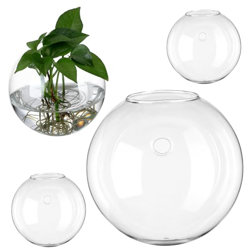 YARNOW 4 Stück Wandhängende Glasblumenvase Hochtransparente Rundvase Propagationsstation für Zimmerpflanzen Deko Wohnzimmer Büro Hydroponik Pflanzenhalter YARNOW 4 Stück Wandhängende Glasblumenvase Hochtransparente Rundvase Propagationsstation für Zimmerpflanzen Deko Wohnzimmer Büro Hydroponik Pflanzenhalter von YARNOW