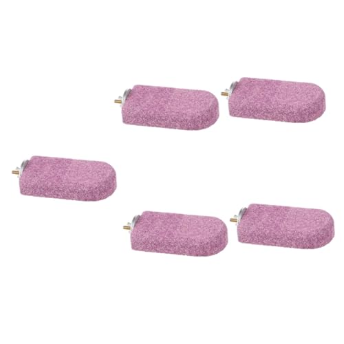YARNOW 5 Stück Hamster Beißstation Vogelsitzstange Für Käfig Papageien Sitzstange Spielzeug Vogelsitzstangen Für Papageien Vogelzubehör Sittich Sitzstange Vogelsitzstange YARNOW 5 Stück Hamster Beißstation Vogelsitzstange Für Käfig Papageien Sitzstange Spielzeug Vogelsitzstangen Für Papageien Vogelzubehör Sittich Sitzstange Vogelsitzstange von YARNOW