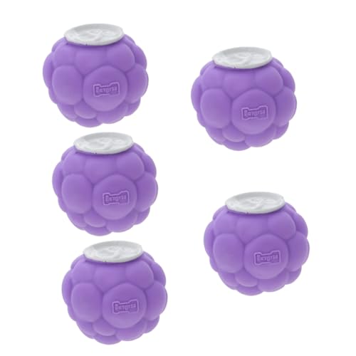 YARNOW 5St Hundespielzeugball Interactive Dog Toys Dog chew Toy Backenzahnspielzeug für Hunde Welpen quietschender Ball Spielzeuge dekoratives Hundespielzeug schöner Hundeball Emulsion von YARNOW