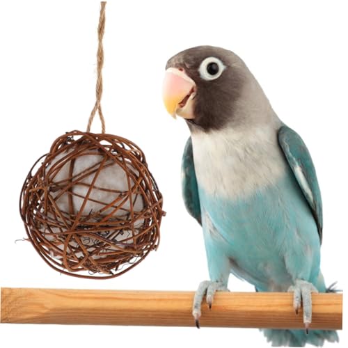 YARNOW 6 Stück Teiliges Papageien Kauspielzeug mit Hänge Schaukel Rattan Kauspielzeug für Kleine und Mittelgroße Vögel Fördert Schnabelpflege und Körperliche Koordination Vogelspielzeug YARNOW 6 Stück Teiliges Papageien Kauspielzeug mit Hänge Schaukel Rattan Kauspielzeug für Kleine und Mittelgroße Vögel Fördert Schnabelpflege und Körperliche Koordination Vogelspielzeug von YARNOW