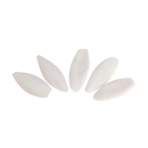 YARNOW Zahn-backenzahn-Spielzeug 6er-Pack Haustier-backenzähne Spielzeugknochen Für Kleintiere Pflege Für Hamster Meerschweinchen von YARNOW
