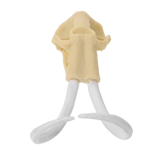 YARNOW Aquarium Deko Skull Ornament aus Langlebigem Harz Kompakte Sichere Unterwasserverzierung für Fischbecken Kreative Schädel Gestaltung für Aquarium Landschaft YARNOW Aquarium Deko Skull Ornament aus Langlebigem Harz Kompakte Sichere Unterwasserverzierung für Fischbecken Kreative Schädel Gestaltung für Aquarium Landschaft von YARNOW
