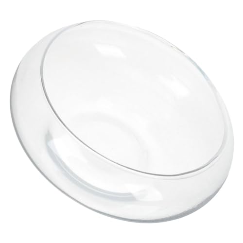 YARNOW Glasfarbe Blumentopf Krug Untertasse Blumenampel Zum Aufhängen Saftige Töpfe Selbstbewässerung Terrarium-kit Panzer Töpfe Für Pflanzen Wasserpumpe Led-licht Für Aquarien Aquarium Glas YARNOW Glasfarbe Blumentopf Krug Untertasse Blumenampel Zum Aufhängen Saftige Töpfe Selbstbewässerung Terrarium-kit Panzer Töpfe Für Pflanzen Wasserpumpe Led-licht Für Aquarien Aquarium Glas von YARNOW