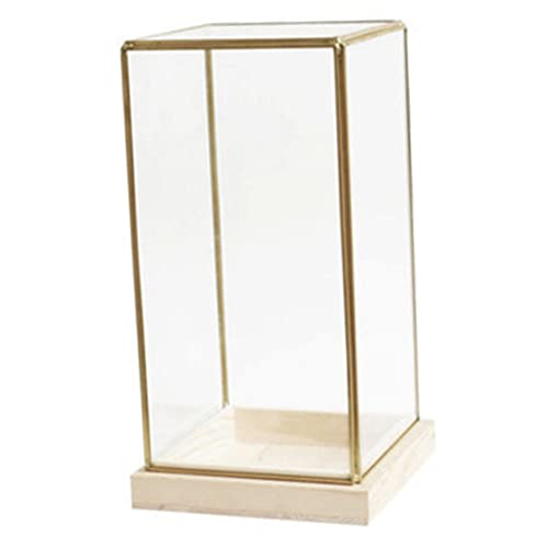 YARNOW Box Modellhalter Sammlerstücke Vitrine Kerzenhalter Klarer Kerzenhalter Teelichthalter Kerzenhalterständer Kleiner Schmuckhalter Transparente Vitrine Glas YARNOW Box Modellhalter Sammlerstücke Vitrine Kerzenhalter Klarer Kerzenhalter Teelichthalter Kerzenhalterständer Kleiner Schmuckhalter Transparente Vitrine Glas von YARNOW