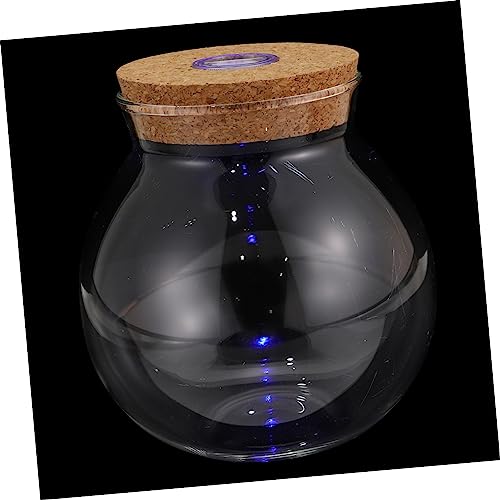 YARNOW Landscape Flasche Mit Licht Terrarium Behälter Aus Glas Kreative Dekoration Für Pflanzen Transparentes Design Für Wohn Und Büroschreibtisch von YARNOW