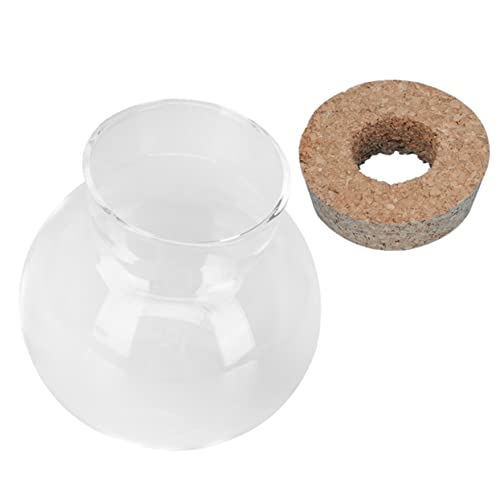 YARNOW Fischbecken aus Glas lagercontainer vorratsbehälter dekorierflasche glasgefäß einmachgläser Mini-Aquarium Luft Mikro-Aquarium Schüsselvase aus Glas Terrarienpflanzen Transparent YARNOW Fischbecken aus Glas lagercontainer vorratsbehälter dekorierflasche glasgefäß einmachgläser Mini-Aquarium Luft Mikro-Aquarium Schüsselvase aus Glas Terrarienpflanzen Transparent von YARNOW