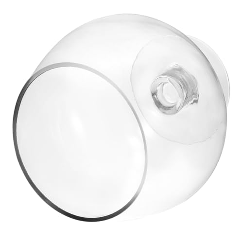 YARNOW Goldfischglasvase aufzuchtfutter Fische bürodeko anpflanztöpfchen wohnraumdeko CAPI pflanzkübel Aquarium Panzer Tischtank Multifunktions-Betta-Tank klares Fischbecken Fischvorräte YARNOW Goldfischglasvase aufzuchtfutter Fische bürodeko anpflanztöpfchen wohnraumdeko CAPI pflanzkübel Aquarium Panzer Tischtank Multifunktions-Betta-Tank klares Fischbecken Fischvorräte von YARNOW