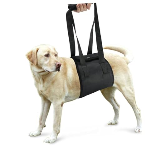 YARNOW Canine Lift Support Für Hunde Mit Hinterbeinschwäche Größe XL Gehhilfe Für Hunde Nach Operationen YARNOW Canine Lift Support Für Hunde Mit Hinterbeinschwäche Größe XL Gehhilfe Für Hunde Nach Operationen von YARNOW
