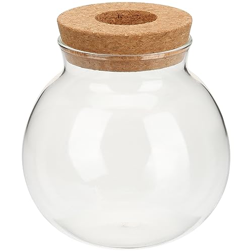 YARNOW Hydroponische Glasflasche Terrarium Monstera-Pflanze Vermehrungsvase Hydrokulturvase Aus Glas Terrarienset Erwachsene Glasvase Terrarienpflanzen Holz Reagenzglas Hydroponik von YARNOW