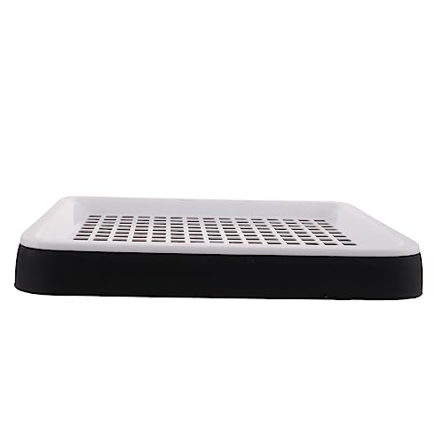 YARNOW Kasten Hamster Toilette Graben Toilettenbürste Schrubben Ratten Leckereien Für Meerschweinchen Futterspender Kleine Haustiertoilette Hase Tortenaufsatz Behandeln Tiere Heu Black Pp YARNOW Kasten Hamster Toilette Graben Toilettenbürste Schrubben Ratten Leckereien Für Meerschweinchen Futterspender Kleine Haustiertoilette Hase Tortenaufsatz Behandeln Tiere Heu Black Pp von YARNOW