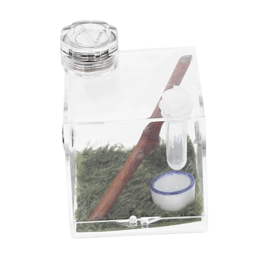 YARNOW Kasten Springspinnen-zuchtbox Spinnengehege Verstecken Zuchtbecken Für Aquarien Vivarienbecken Klares Reptilienterrarium Großes Terrarium Lebensraumkäfig Für Schnecken Acryl YARNOW Kasten Springspinnen-zuchtbox Spinnengehege Verstecken Zuchtbecken Für Aquarien Vivarienbecken Klares Reptilienterrarium Großes Terrarium Lebensraumkäfig Für Schnecken Acryl von YARNOW