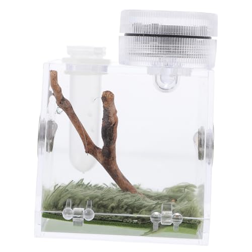 YARNOW Kleine Sprungspinnen-habitatbox Mit Lampe Transparentes Terrarium Für Insekten Und Kleine Reptilien Einfache Fütterung Klappöffnung Dekorativ Für Zuhause YARNOW Kleine Sprungspinnen-habitatbox Mit Lampe Transparentes Terrarium Für Insekten Und Kleine Reptilien Einfache Fütterung Klappöffnung Dekorativ Für Zuhause von YARNOW