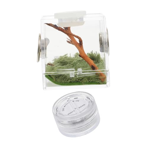 YARNOW Kleine Spinnen Lebensraum Box Mit Lampe Hygienische Zuchtbox Für Spinnen Und Terrarium Mit Luftzirkulation Für Innenbereich YARNOW Kleine Spinnen Lebensraum Box Mit Lampe Hygienische Zuchtbox Für Spinnen Und Terrarium Mit Luftzirkulation Für Innenbereich von YARNOW
