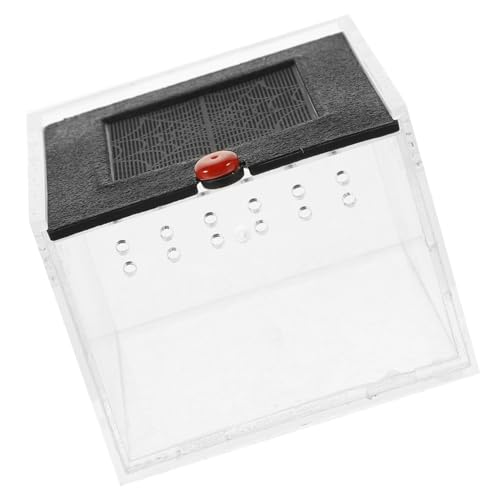 YARNOW Klarer Sichtbehälter Für Spinnen Und Kleine Reptilien Ventilierte Acrylbox Mit Transparentem Design Für Einfache Beobachtung Und Pflege Robuste Leicht Zu Reinigende Terrarienbox von YARNOW