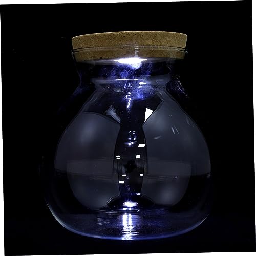 YARNOW -Aquarium-landschaftsflasche Mikrolandschaftstank Mit Weißem -licht Für Die Raumdekoration von YARNOW