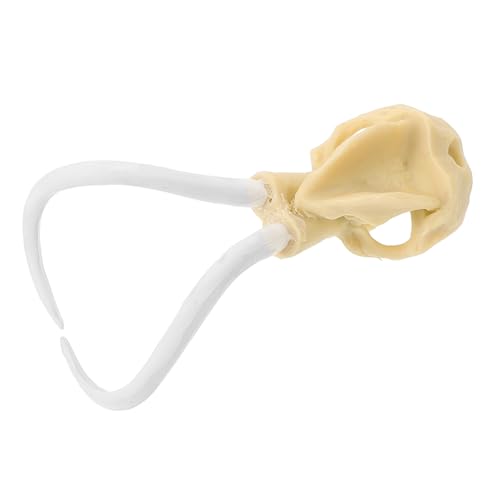 YARNOW Langlebiges Resin Aquarium Deko Skull Ornament Detailreiches Unterwasser Landschaftsdekor Kompakte Schädel Figur für Fischbecken Natürliches Flair für Aquarien YARNOW Langlebiges Resin Aquarium Deko Skull Ornament Detailreiches Unterwasser Landschaftsdekor Kompakte Schädel Figur für Fischbecken Natürliches Flair für Aquarien von YARNOW