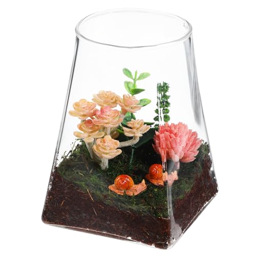 YARNOW Mikro Landschafts Flaschenvase Terrarium Glaspflanzentopf Glas Pflanzgefäß Glastöpfe Für Pflanzen Vermehrungsstation Glasdekorationen Mikro Landschaftsflasche Glas YARNOW Mikro Landschafts Flaschenvase Terrarium Glaspflanzentopf Glas Pflanzgefäß Glastöpfe Für Pflanzen Vermehrungsstation Glasdekorationen Mikro Landschaftsflasche Glas von YARNOW