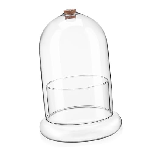 YARNOW Glas Pflanzer Luft Loch Moos Terrarium für Schreibtisch Dekorative Landschaft Flasche YARNOW Glas Pflanzer Luft Loch Moos Terrarium für Schreibtisch Dekorative Landschaft Flasche von YARNOW