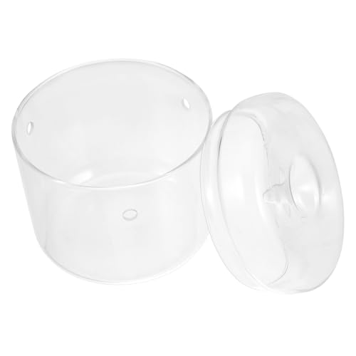 YARNOW Mini Terrarium für Pflanzen Stilvolle Pflanzflasche für Sukkulenten und Moos Kreative Dekoration für Zuhause Büro und Garten Glasmaterial Langlebig und Elegant von YARNOW