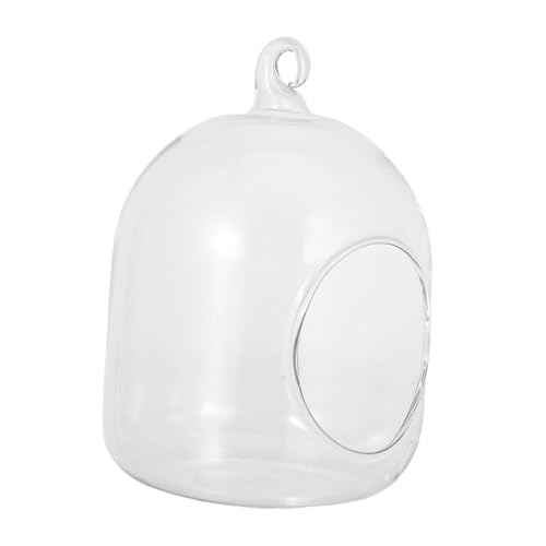 YARNOW Mini Terrarium Glasflasche mit Moos Kleines Offenes Luftpflanzgefäß Pflegeleichtes Moos Mikrolandschaft DIY für Büro und Tischdekoration Vielseitiger Dekorativer Pflanzbehälter von YARNOW
