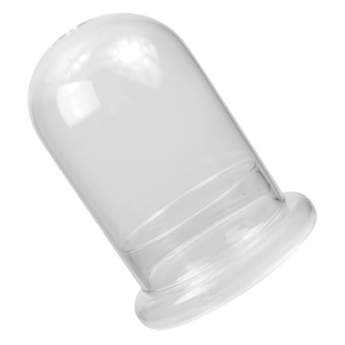 YARNOW Moos-Öko-Flasche wohnzimmerdeko baddekorationen Dekoration für Badezimmer Dekoration fürs Bad leer Anlage dekorative Landschaftsflasche Mikro-Landschaftsbehälter Glas Transparent von YARNOW