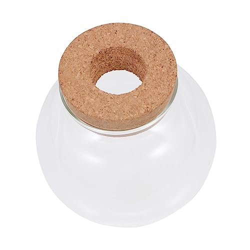 YARNOW Mikrolandschaftsflasche Glasterrarium Sukkulentenpflanzenflasche Moospflanzen-landschaftsflasche Heimglasflasche Für DIY-mikrolandschaft Zimmerdekor Büroaccessoires Handgemachte von YARNOW