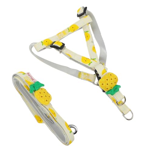 YARNOW Einstellbare Hundeleine Mit Frischem Obstdesign Praktische Und Leichte Hundeführung Für Und Aktivitäten Im Freien Für Kleine Und Mittelgroße Hunde YARNOW Einstellbare Hundeleine Mit Frischem Obstdesign Praktische Und Leichte Hundeführung Für Und Aktivitäten Im Freien Für Kleine Und Mittelgroße Hunde von YARNOW