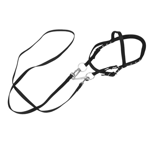YARNOW Pferdestallbedarf pferdezubehör Pferdehalfter Pferdeausstattung Pferdetrainingsseil Halfter für Reitpferde Halfterpferd Halfter für Pferde Englische Zäume für Pferde Nylon von YARNOW