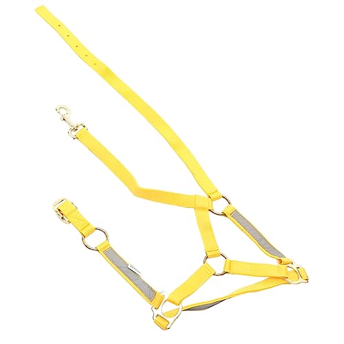 YARNOW Reflektierender Pferdschleier Reiter Sachen reitzubehör Pferdesportgeräte Pferdeseil Strickhalfter für Pferde schützendes Pferdehalfter verstellbares Halfter PP-Gurtband Yellow von YARNOW