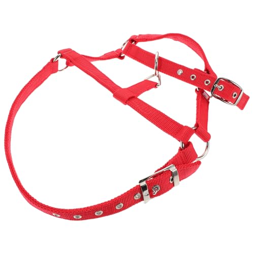 YARNOW Reittraining für pferdegeschirr REIT zubehör Kinnriemenabdeckung Pferdekostüm abreißbares Halfter Pferdehalfter Ziegenhalfter Schafhalter Wadenhalfter Pferdeleine Nylon rot YARNOW Reittraining für pferdegeschirr REIT zubehör Kinnriemenabdeckung Pferdekostüm abreißbares Halfter Pferdehalfter Ziegenhalfter Schafhalter Wadenhalfter Pferdeleine Nylon rot von YARNOW