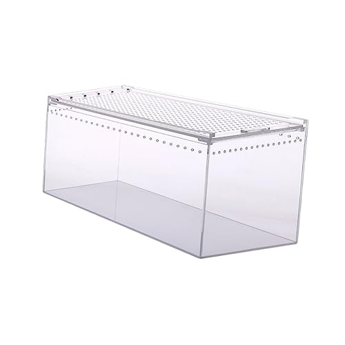 YARNOW Reptilien Futterbox Transparente Zuchtstation Für Spinnen Schlangen Schildkröten Und Frösche Reinigen Optimal von YARNOW