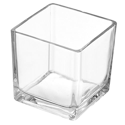 YARNOW -hydroponik Vase Transparente Blumenvase Für Tischdeko Langlebig Und Vielseitig Einsetzbar Als Terrarium Oder Pflanzbehälter Für Sukkulenten von YARNOW