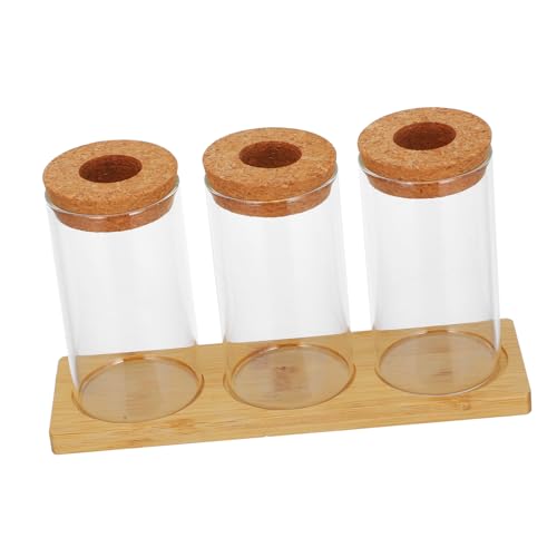 YARNOW Anspruchsvolle Pflanzenvasen Aus Glas Öko-flaschendekor 3-teilig Für Die Desktop-Landschaft Pflanzenvermehrungsgläser von YARNOW