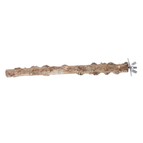YARNOW Bird Perch Stand Aus Natürlichem Holz Vogel Sitzstange Für Papageien Wellensittiche Nymphensittiche Kauspielzeug Für Gesunde Krallenpflege Und Aktives Spiel YARNOW Bird Perch Stand Aus Natürlichem Holz Vogel Sitzstange Für Papageien Wellensittiche Nymphensittiche Kauspielzeug Für Gesunde Krallenpflege Und Aktives Spiel von YARNOW