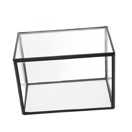 YARNOW Sukkulente Utensilien Ökosystem Terrarium Gla -Terrarium DIY-Terrarium saftiges Terrarium leeres Terrarium Pflanzenbehälter selber Machen Terrarienmoos Glas Transparent YARNOW Sukkulente Utensilien Ökosystem Terrarium Gla -Terrarium DIY-Terrarium saftiges Terrarium leeres Terrarium Pflanzenbehälter selber Machen Terrarienmoos Glas Transparent von YARNOW
