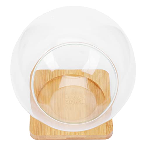 YARNOW Terrarium Vase Blase Schüssel Topf Slant Cut Globe Mini Display Tabletop Transparent für Candy Anlage Home Office Decor von YARNOW