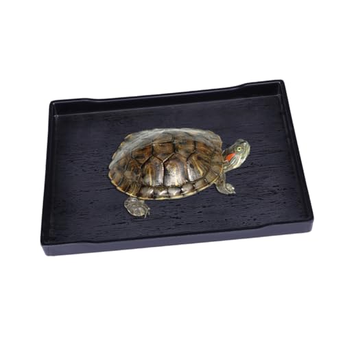 YARNOW Große Trinkschale Für Schildkröte Reptil Schüssel Flaches Design Tierbedarf Futter Wasserschale Getreide von YARNOW