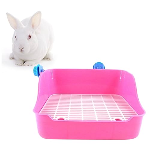 YARNOW Toilette Für Meerschweinchen Töpfchentrainer Für Kleintiere Hamster Hasen Chinchillas Frettchen Geeignet Für Kleine Tiere von YARNOW