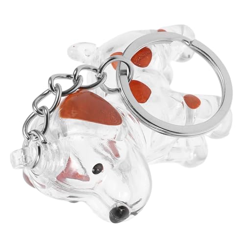 YARNOW Transparente Haustier Andenken Box Tragbarer Hunde Haar Erinnerungsschmuck Schlüsselanhänger Souvenir für Tierhalter Charm für Taschen Alltag Kompakter Gedenkbehälter für Reise und von YARNOW